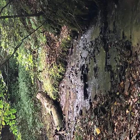 Appartement Bruni By Interhome *