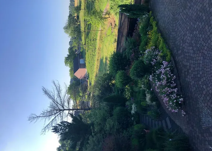 Bruni By Interhome Appartamento Leichlingen