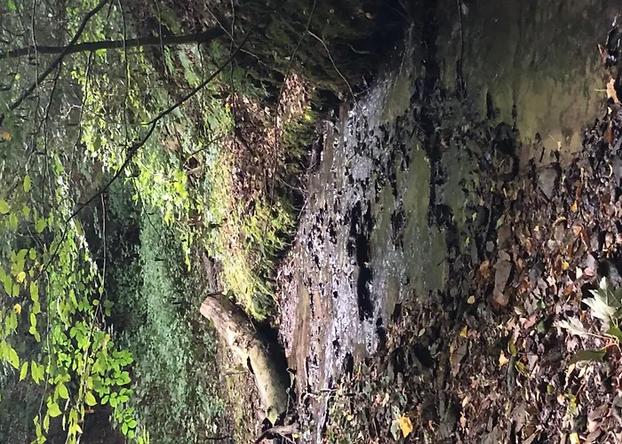 Appartamento Bruni By Interhome *